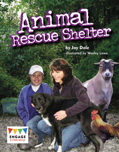 Animal Rescue Shelter