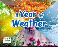 Year of Weather