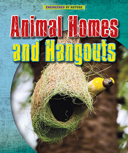 Animal Homes and Hang-outs (Paperback) | Raintree