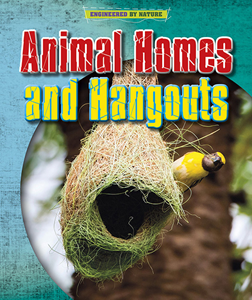 Animal Homes and Hang-outs (Paperback) | Raintree Animal Homes and Hang-outs (Paperback) | Raintree