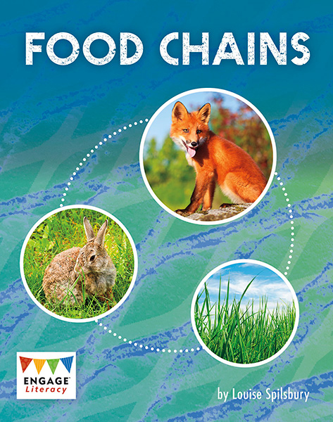 Food Chains (Paperback) Biology Diagrams