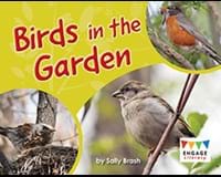 Birds in the Garden